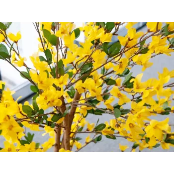 EUROPALMS albero di forsizia artificiale con 3 tronchi, giallo, 150cm 82507102