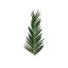 EUROPALMS foglia di palma da cocco artificiale, 150 cm 82509845