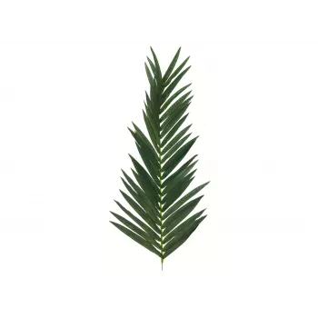 EUROPALMS foglia di palma da cocco artificiale, 150 cm 82509845