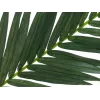 EUROPALMS foglia di palma da cocco artificiale, 150 cm 82509845