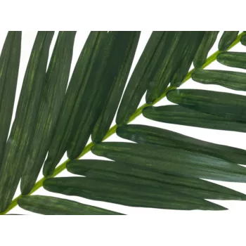 EUROPALMS foglia di palma da cocco artificiale, 150 cm 82509845