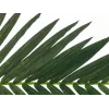 EUROPALMS foglia di palma da cocco artificiale, 150 cm 82509845
