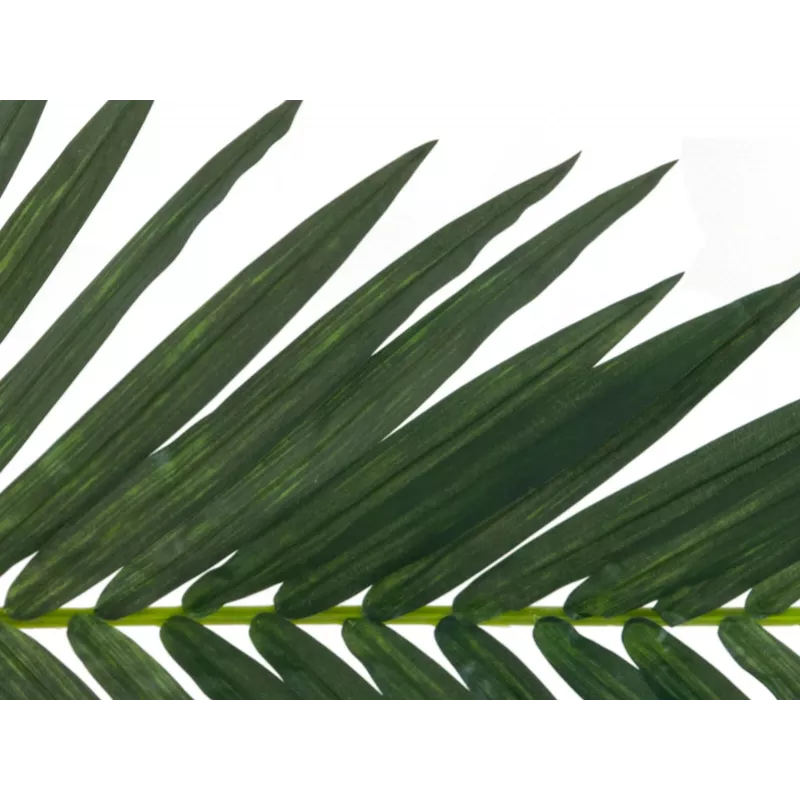 EUROPALMS foglia di palma da cocco artificiale, 150 cm 82509845