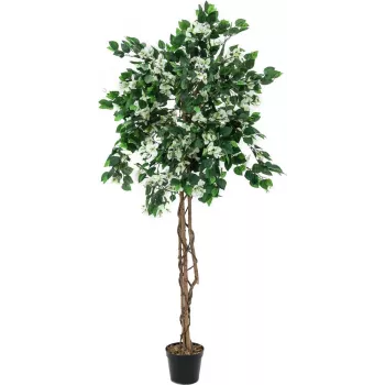 EUROPALMS Bougainvillea pianta artificiale, bianco, 150cm 82507085