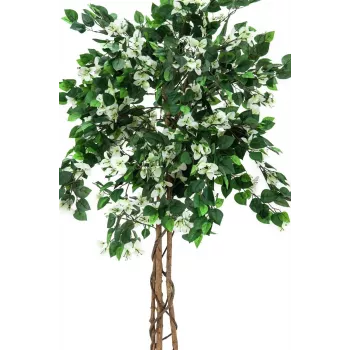 EUROPALMS Bougainvillea pianta artificiale, bianco, 150cm 82507085