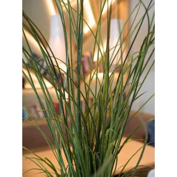 EUROPALMS erba di palude artificiale, 145cm, verde/marrone, in vaso 82600229