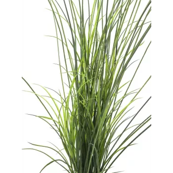 EUROPALMS erba di palude artificiale, 145cm, verde/marrone, in vaso 82600229