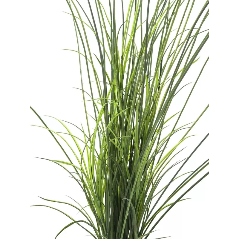 EUROPALMS erba di palude artificiale, 145cm, verde/marrone, in vaso 82600229