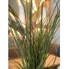 EUROPALMS erba di palude artificiale, 145cm, verde/marrone, in vaso 82600229