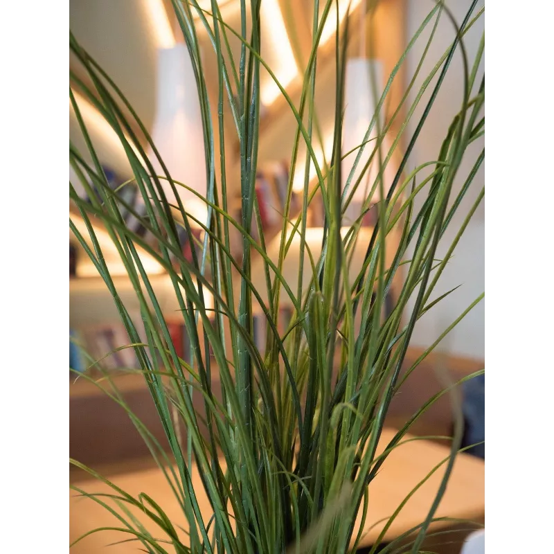 EUROPALMS erba di palude artificiale, 145cm, verde/marrone, in vaso 82600229