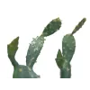 EUROPALMS cactus a foglia pianta artificiale, 76 cm, in vaso, verde 82600064