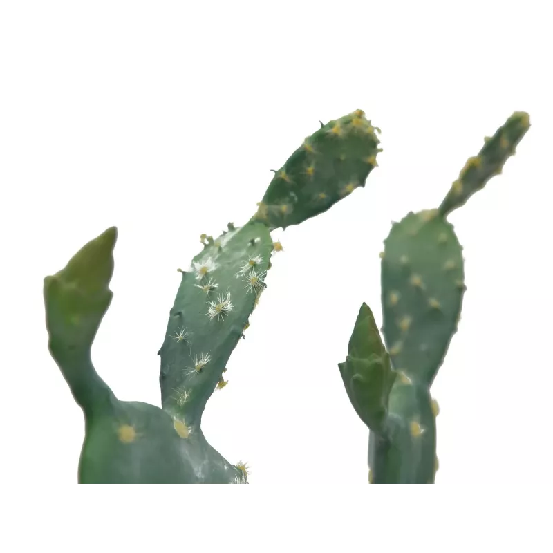 EUROPALMS cactus a foglia pianta artificiale, 76 cm, in vaso, verde 82600064
