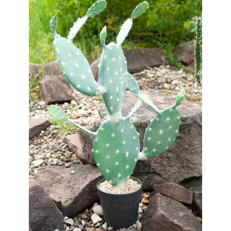 EUROPALMS cactus a foglia pianta artificiale, 76 cm, in vaso, verde 82600064