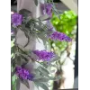 EUROPALMS ghirlanda di fiori artificiali, rosa, 180 cm 82501857