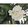 EUROPALMS albero di oleandro, pianta artificiale, bianco, 120 cm (82507246)