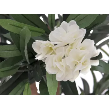 EUROPALMS albero di oleandro, pianta artificiale, bianco, 120 cm (82507246)