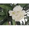 EUROPALMS albero di oleandro, pianta artificiale, bianco, 120 cm (82507246)