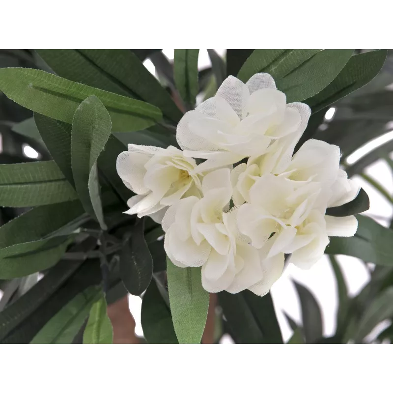 EUROPALMS albero di oleandro, pianta artificiale, bianco, 120 cm (82507246)