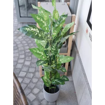 EUROPALMS pianta artificiale Dieffenbachia 120cm 82508306