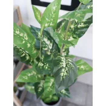 EUROPALMS pianta artificiale Dieffenbachia 120cm 82508306