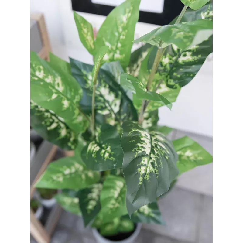 EUROPALMS pianta artificiale Dieffenbachia 120cm 82508306