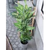 EUROPALMS pianta artificiale Dieffenbachia 120cm 82508306