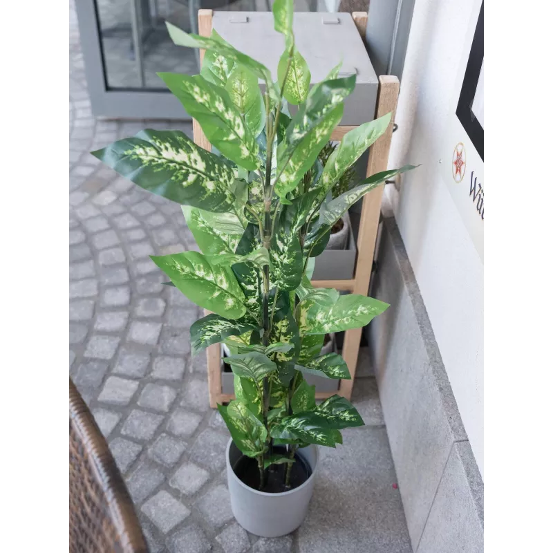 EUROPALMS pianta artificiale Dieffenbachia 120cm 82508306