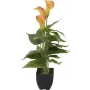 EUROPALMS Calla mini pianta artificiale, giallo-arancio, 43 cm 82540346