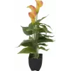EUROPALMS Calla mini pianta artificiale, giallo-arancio, 43 cm 82540346