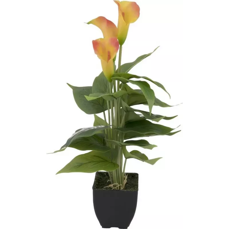 EUROPALMS Calla mini pianta artificiale, giallo-arancio, 43 cm 82540346