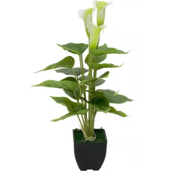 EUROPALMS Calla mini pianta di calla artificiale, bianco, 43 cm 82540347