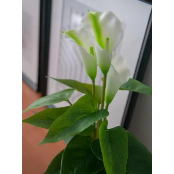 EUROPALMS Calla mini pianta di calla artificiale, bianco, 43 cm 82540347