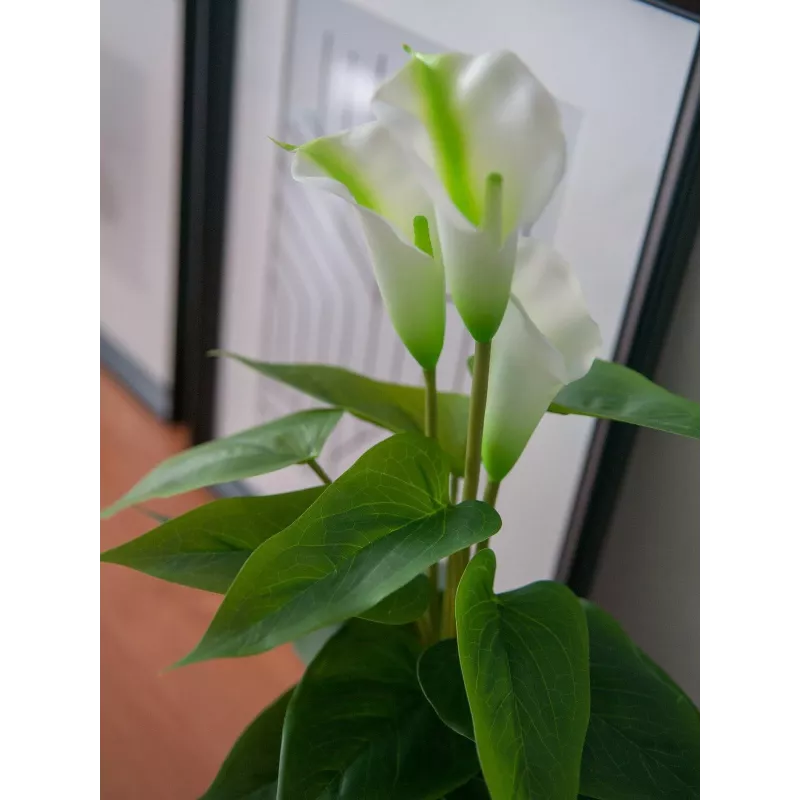 EUROPALMS Calla mini pianta di calla artificiale, bianco, 43 cm 82540347