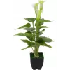 EUROPALMS Calla mini pianta di calla artificiale, bianco, 43 cm 82540347
