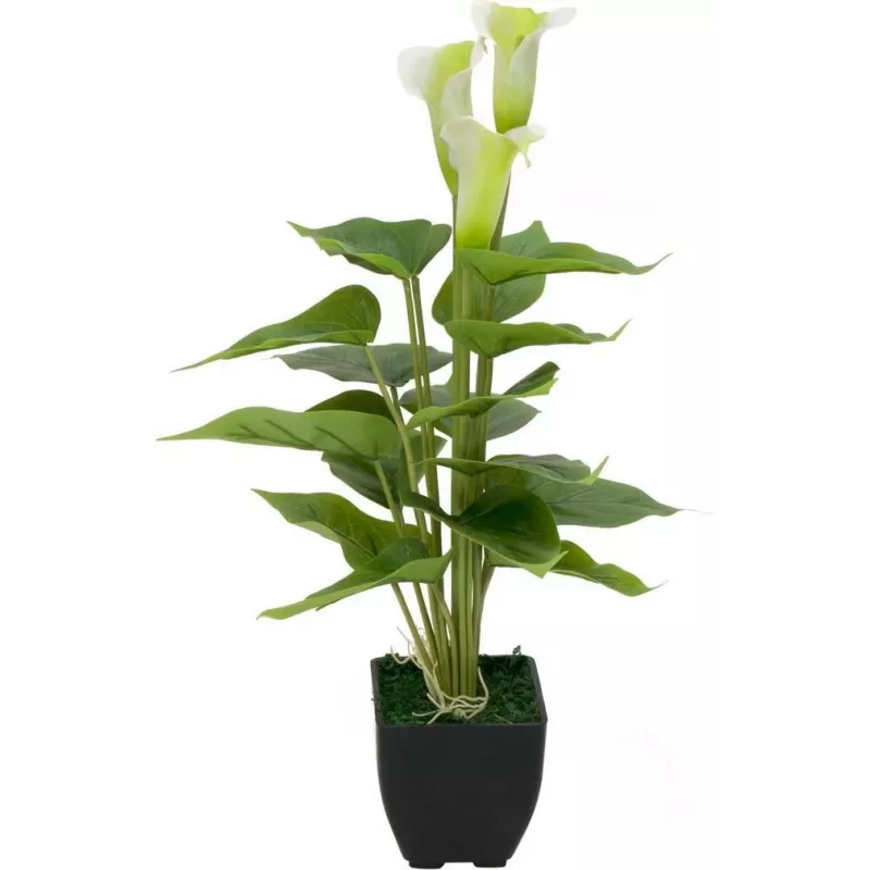 EUROPALMS Calla mini pianta di calla artificiale, bianco, 43 cm 82540347