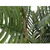 EUROPALMS pianta artificiale palma Kentia 140cm 82511361