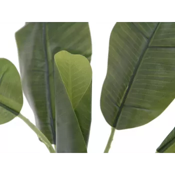 EUROPALMS pianta di banano artificiale, 100cm, foglie verdi, vaso nero 82509503