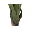 EUROPALMS pianta di banano artificiale, 100cm, foglie verdi, vaso nero 82509503