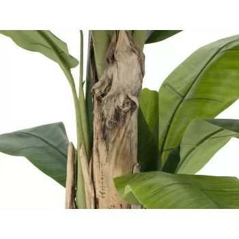 EUROPALMS banano artificiale, 170cm, foglie verdi, vaso nero 82509539