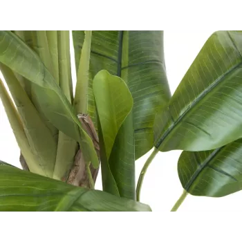 EUROPALMS banano artificiale, 170cm, foglie verdi, vaso nero 82509539