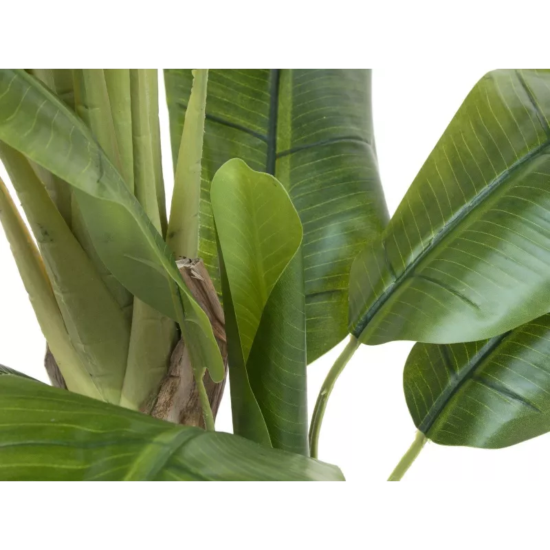 EUROPALMS banano artificiale, 170cm, foglie verdi, vaso nero 82509539