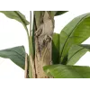 EUROPALMS banano artificiale, 170cm, foglie verdi, vaso nero 82509539