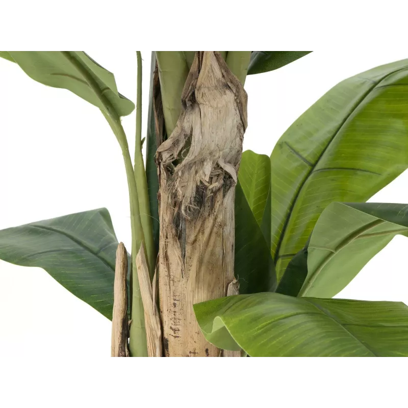 EUROPALMS banano artificiale, 170cm, foglie verdi, vaso nero 82509539