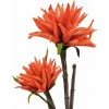 EUROPALMS Dahlia (EVA), pianta artificiale, arancio, 100cm (82532006)