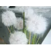 EUROPALMS fiore di dente di leone artificiale, 107cm, bianco 82600133