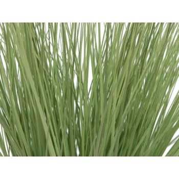 EUROPALMS erba ornamentale artificiale, 65 cm, verde, vaso nero 82600145