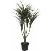 EUROPALMS pianta artificiale Dracaena, verde-rosso, 90cm 82505778