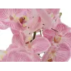 EUROPALMS composizione di orchidee (EVA), artificiale, viola (82530339)