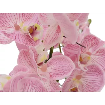 EUROPALMS composizione di orchidee (EVA), artificiale, viola (82530339)