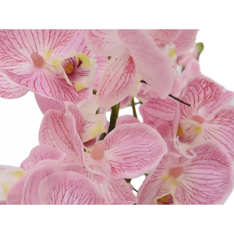 EUROPALMS composizione di orchidee (EVA), artificiale, viola (82530339)